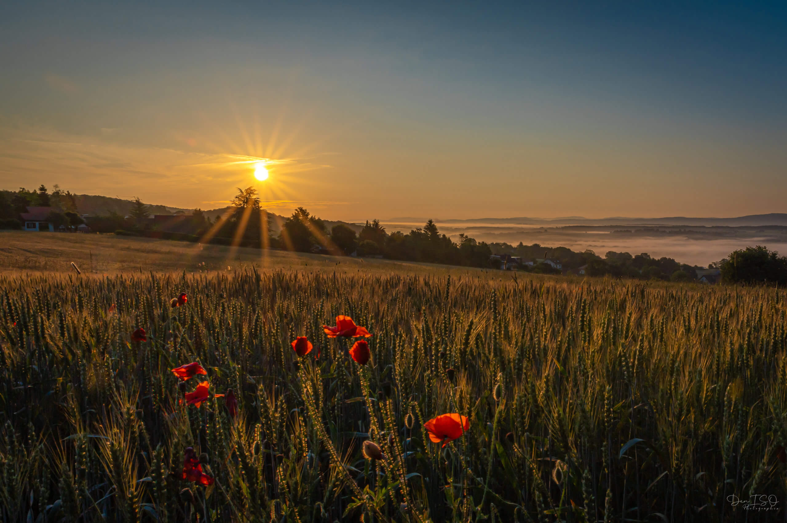 Photo de paysage champs