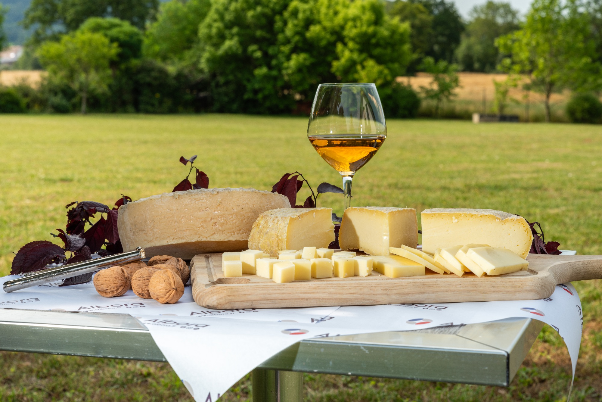 Plateau de fromages et verre de vin en extérieur
