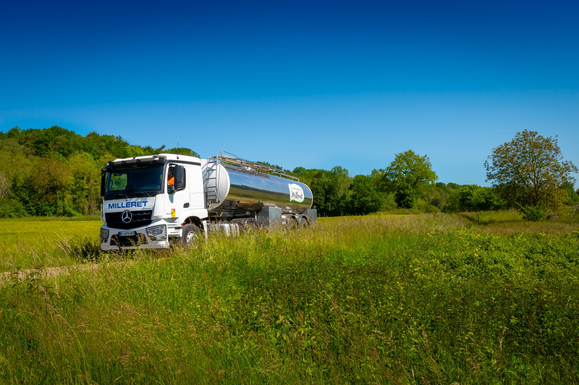 Camion de transport en pleine nature, paysage verdoyant