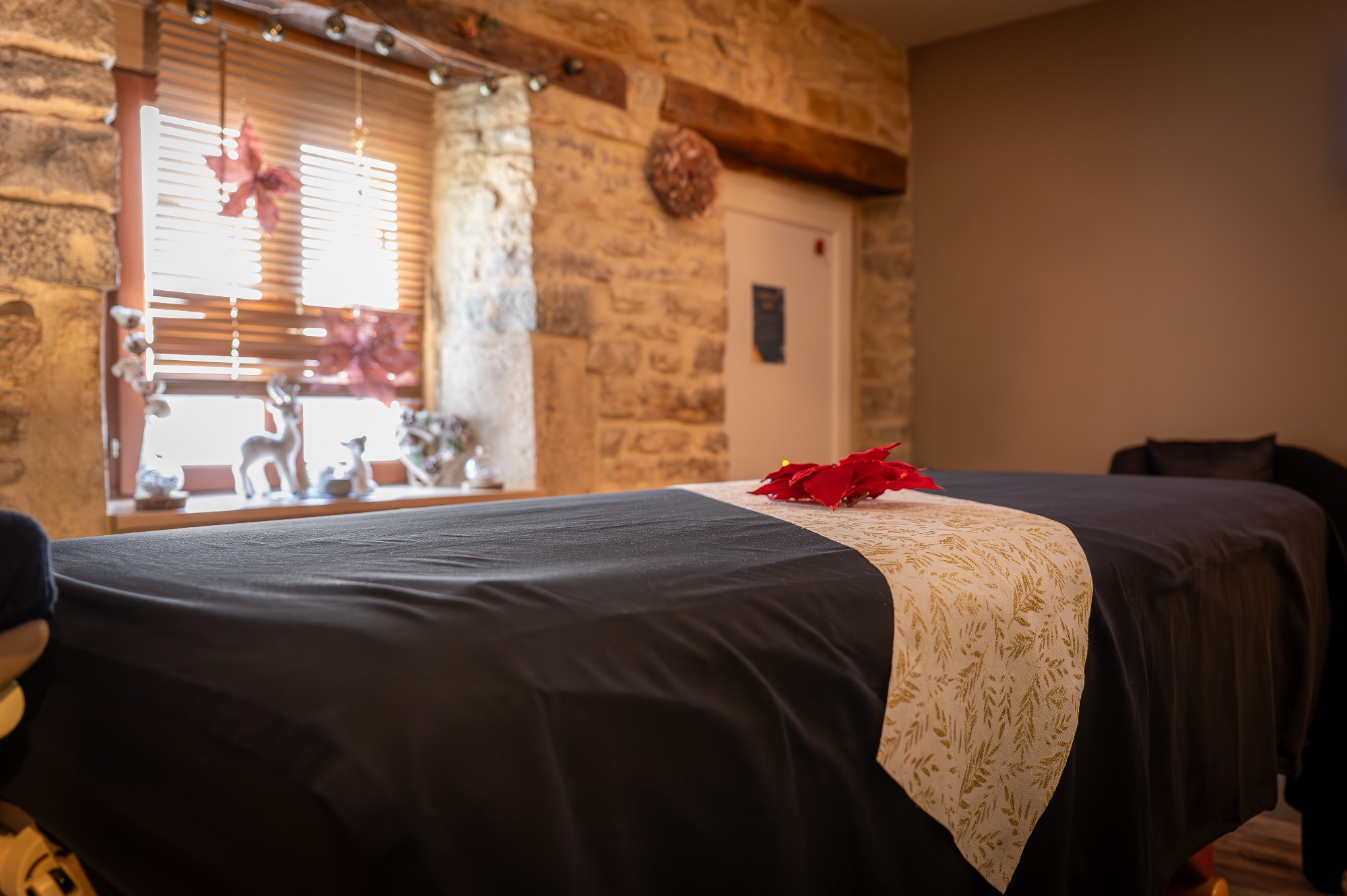 Intérieur d'un studio photo avec décor chaleureux et naturel